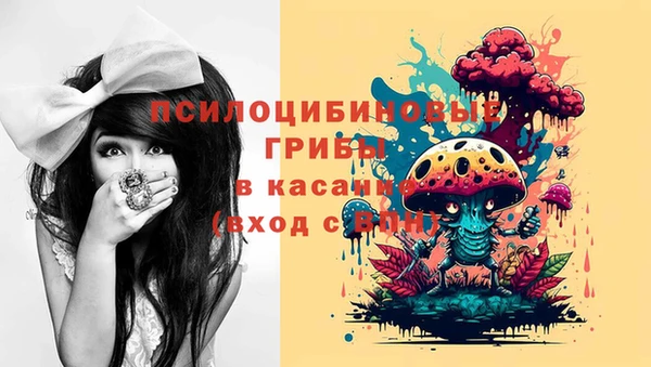 а пвп мука Абаза