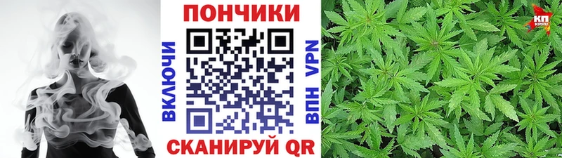 Каннабис гибрид  Дрезна 